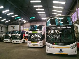 Bus Fleet