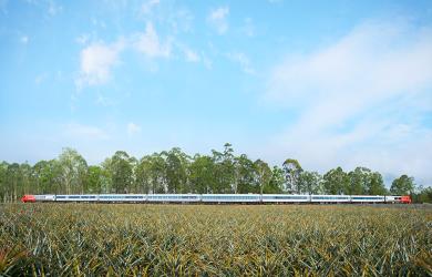 ​​Spirit of Queensland