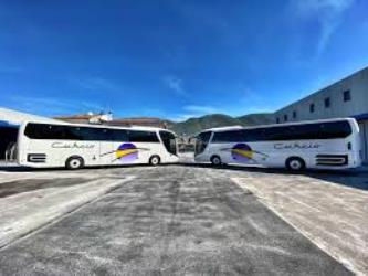Curcio bus