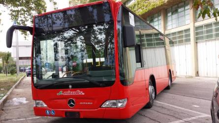 Miccolis bus