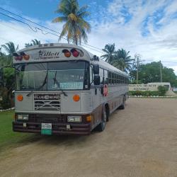 Bus exterior