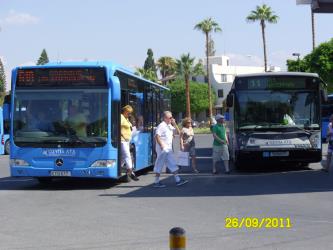 Paphos buses
