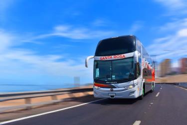Bus