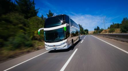 Bus Exterior