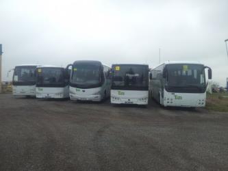 Fleet of buses front view