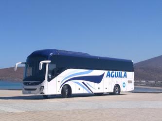 Bus exterior