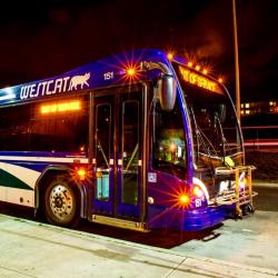 Bus exterior