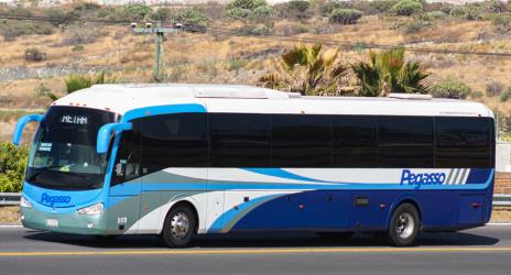 Bus Exterior