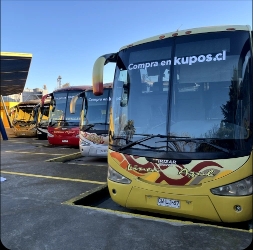 Bus exterior
