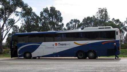 TransWA bus