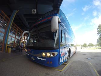 Bus Exterior