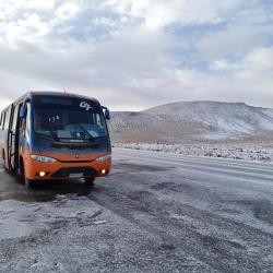 Bus Exterior