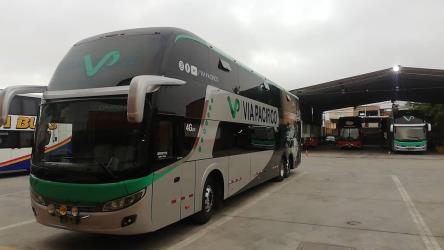 Bus exterior