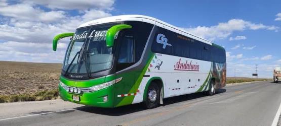 Bus exterior