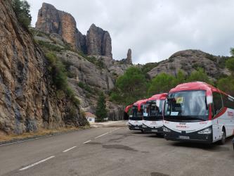 Bus Fleet