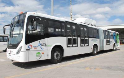 Bus Exterior