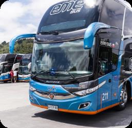 Bus Exterior