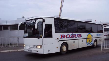 Bozur bus