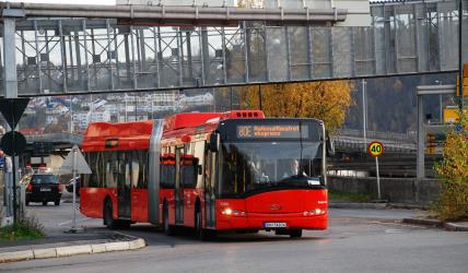 Ruter bus