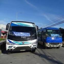 Bus exterior