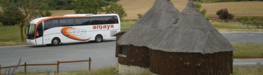 Bus side view