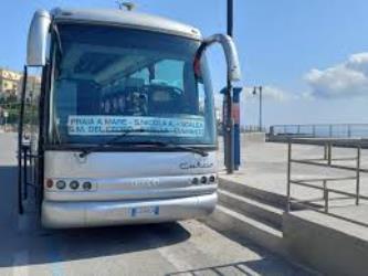 Curcio bus