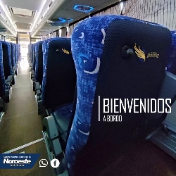 Bus exterior