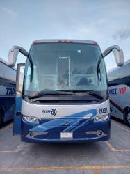 Bus exterior