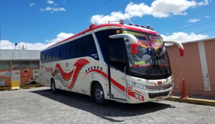 Bus front and side views