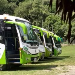 Bus Fleet