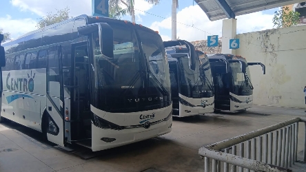 Bus exterior