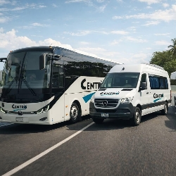 Bus exterior