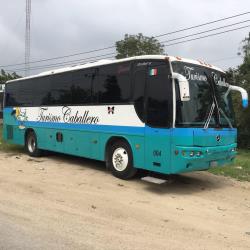 Bus Exterior