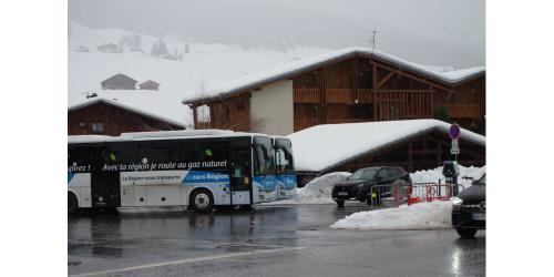 82 Sallanches-Praz-sur-Arly