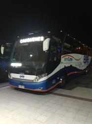 Bus Exterior