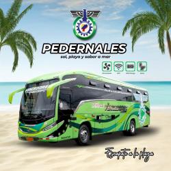 Bus exterior