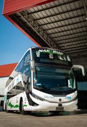 Bus Exterior