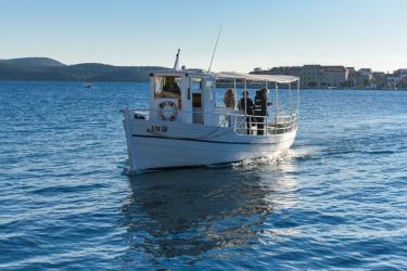 Ferry Gradski