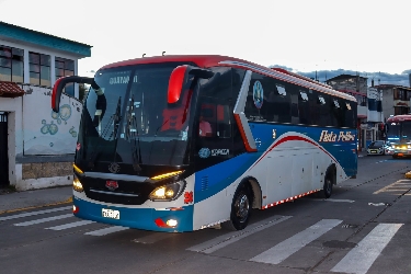 Bus fleet