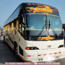 Bus Exterior