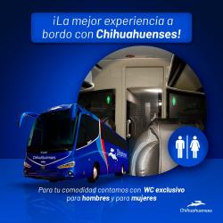 Bus Exterior