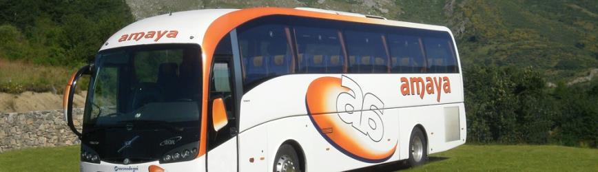 Bus front and side view