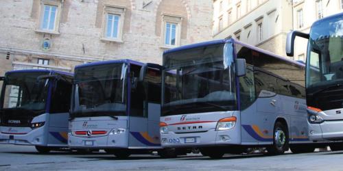 Bus exterior