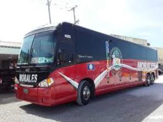 Bus exterior