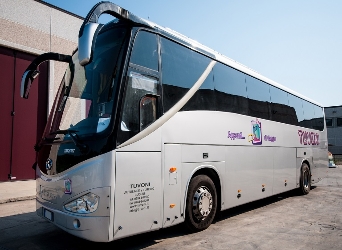 Bus exterior
