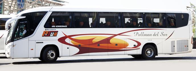 Bus Exterior