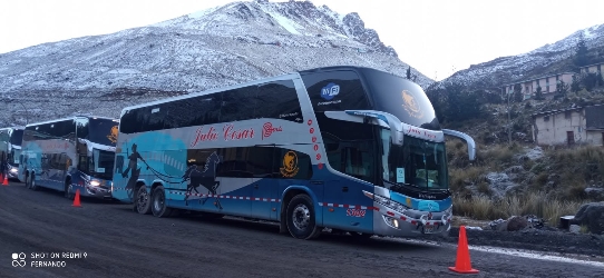 Buses on road
