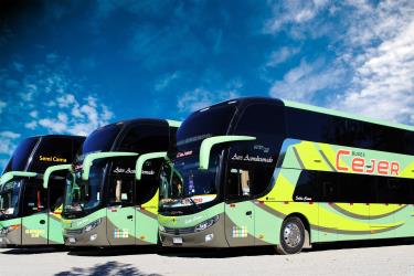 Bus fleet