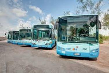 Bus front view