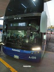 Bus exterior